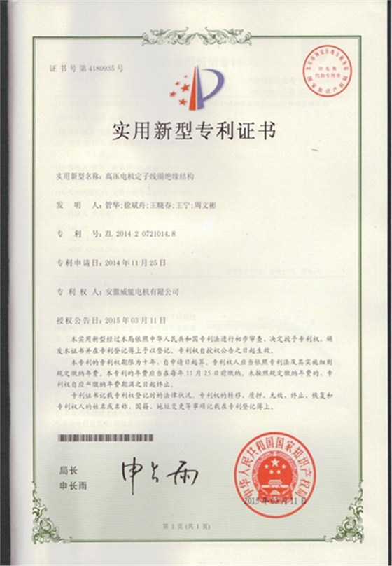 皖南電機專利|高壓電機定子線圈絕緣結構