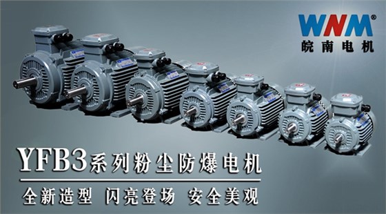 皖南電機(jī)YFB3全新系列粉塵防爆電機(jī) 皖南電機(jī)YFB3全新系列粉塵防爆電機(jī)