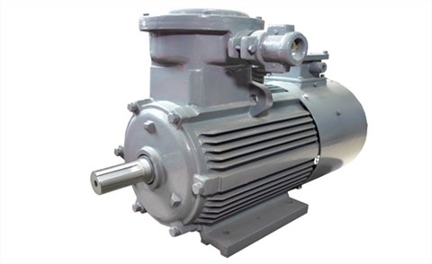 YBBP系列隔爆型變頻調(diào)速三相異步電動機(jī)