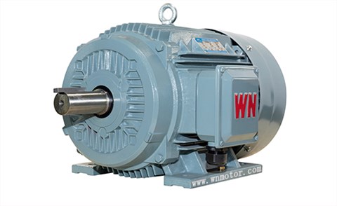 TYCP系列三相變頻驅(qū)動(dòng)永磁同步電動(dòng)機(jī)