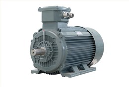 YBX3 系列高效率隔爆型(Ex dII CT4)三相電動機