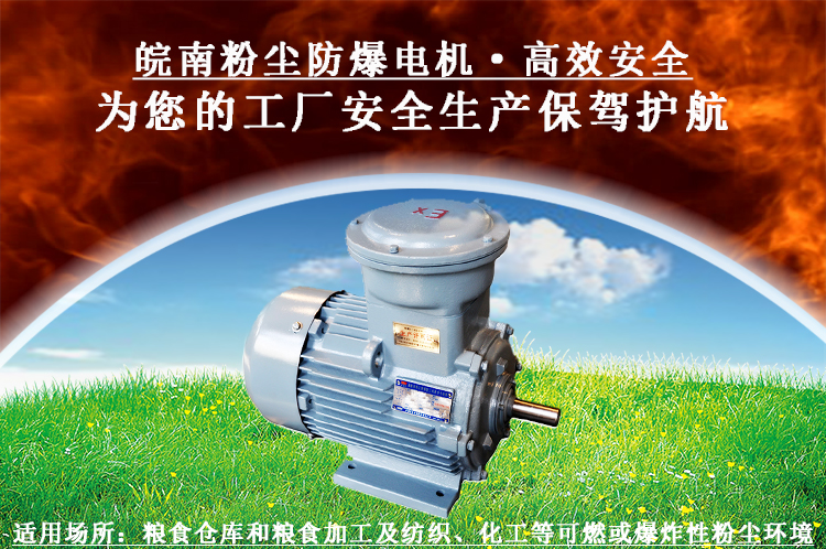 粉塵防爆電機(jī) 粉塵防爆電機(jī)