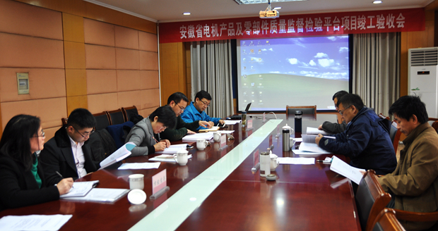 驗(yàn)收專(zhuān)家組查閱相關(guān)資料并質(zhì)詢(xún)（皖南電機(jī)）